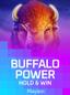 Buffalo Power: Hold and Win